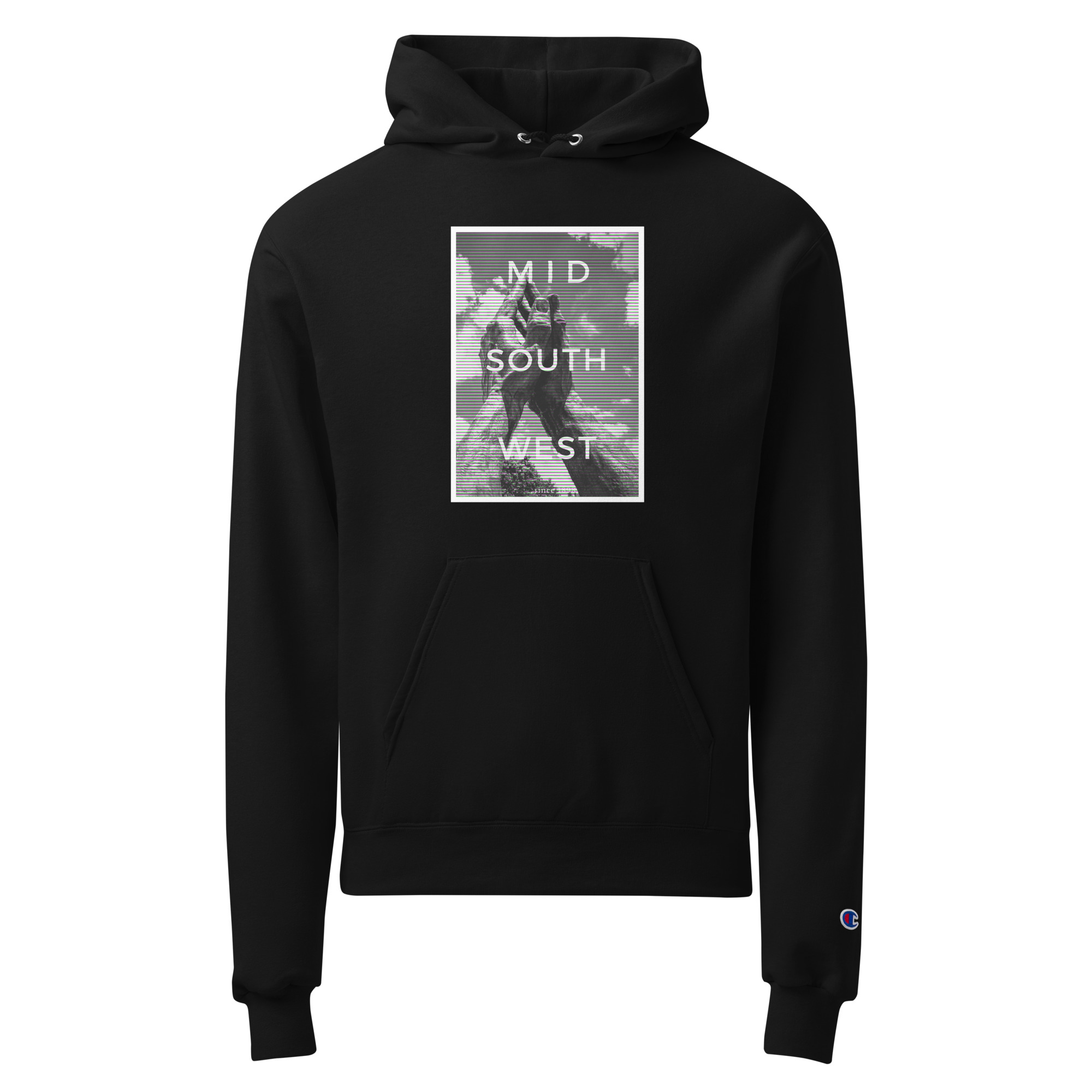 Unisex Champion hoodie